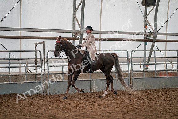 July 19, 2019 - 13100