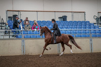 2019 Morgan Horse Show - Aug 30, 2019 - 26488