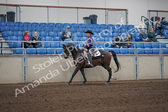 2019 Morgan Horse Show - Aug 31, 2019 - 10628