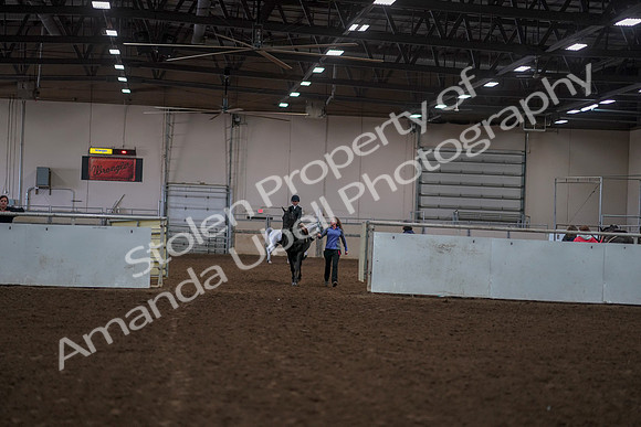 2019 Morgan Horse Show - Aug 30, 2019 - 12669