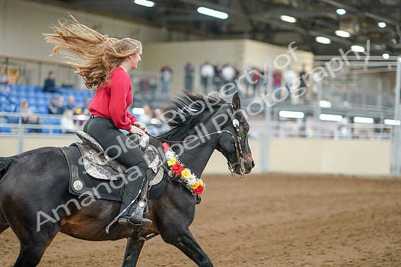 2020 - AB Morgan Horse - Sat, Sept 05 - 10584