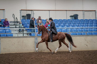 2019 Morgan Horse Show - Aug 30, 2019 - 26493
