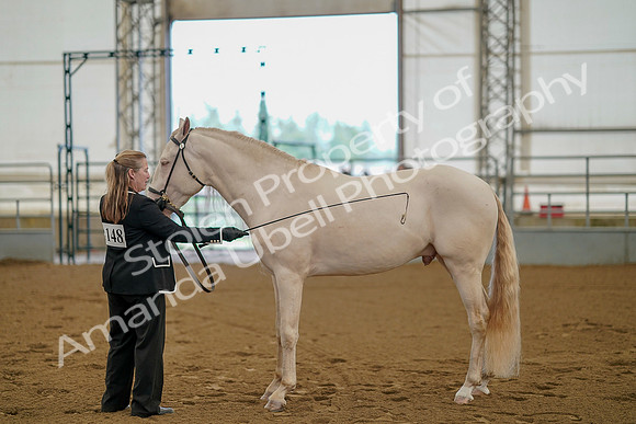 July 19, 2019 - 338