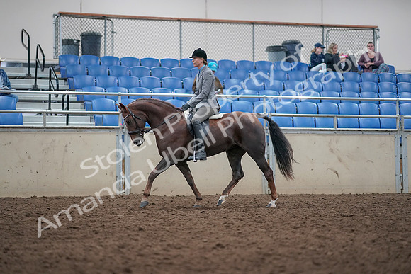 2019 Morgan Horse Show - Aug 31, 2019 - 14748