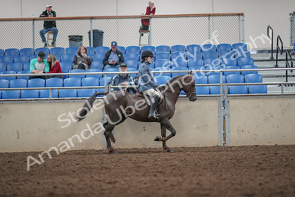 2019 Morgan Horse Show - Aug 31, 2019 - 07414