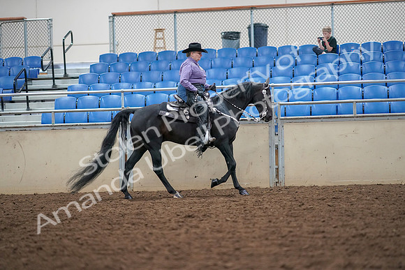 2019 Morgan Horse Show - Aug 30, 2019 - 16935