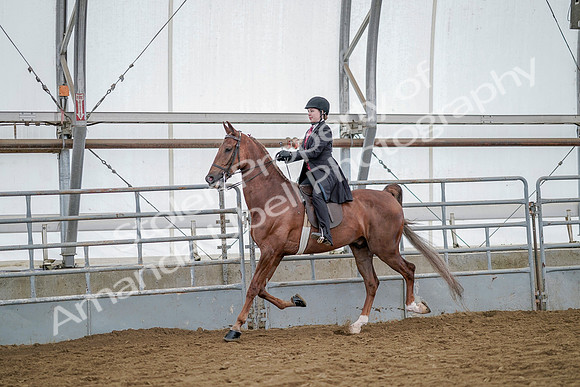 July 20, 2019 - 14605