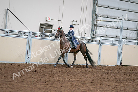 2020 - AB Morgan Horse - Sat, Sept 05 - 04798