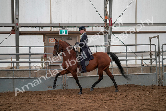 July 19, 2019 - 12994