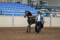 2020 - AB Morgan Horse - Sat, Sept 05 - 00241