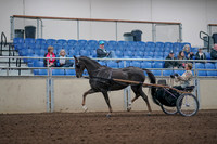 2019 Morgan Horse Show - Aug 31, 2019 - 10251