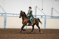 2020 - AB Morgan Horse - Fri, Sept 04 - 03292