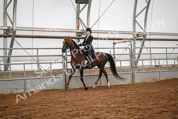 July 19, 2019 - 8762