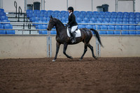 2019 Morgan Horse Show - Aug 30, 2019 - 18303