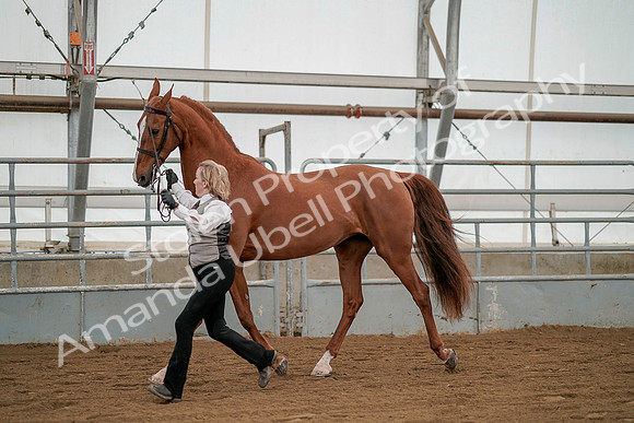 July 19, 2019 - 1351