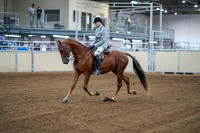 2020 - AB Morgan Horse - Fri, Sept 04 - 01467