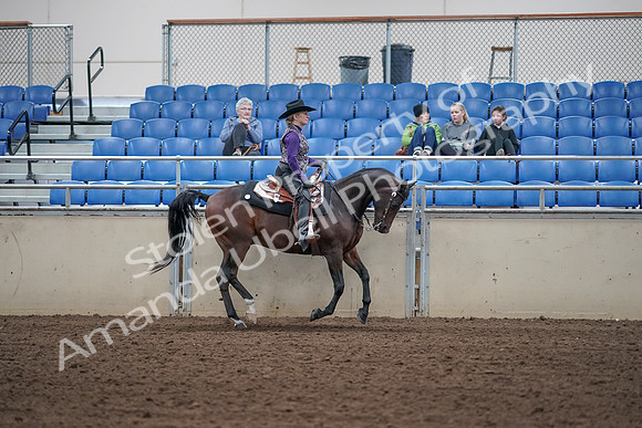 2019 Morgan Horse Show - Aug 31, 2019 - 10689