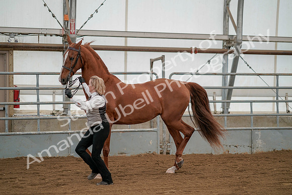 July 19, 2019 - 1354