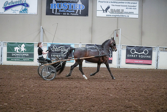 Spring Fling - Saturday - April 20, 2019  -  00329