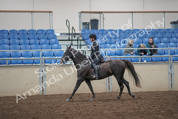 2019 Morgan Horse Show - Aug 31, 2019 - 07369