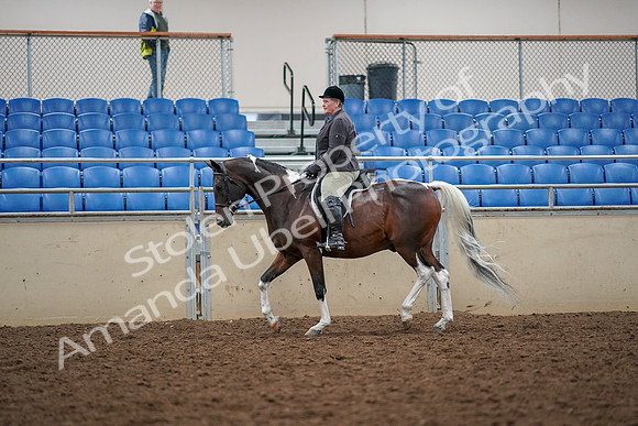 2019 Morgan Horse Show - Aug 30, 2019 - 22240