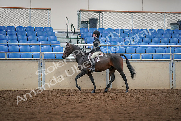 2019 Morgan Horse Show - Aug 30, 2019 - 23124