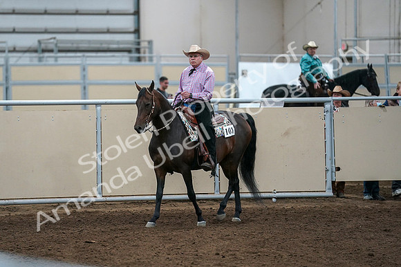 2020 - AB Morgan Horse - Fri, Sept 04 - 00532
