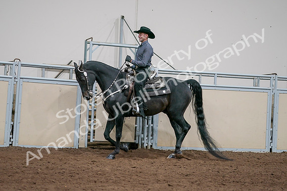 2020 - AB Morgan Horse - Fri, Sept 04 - 08540