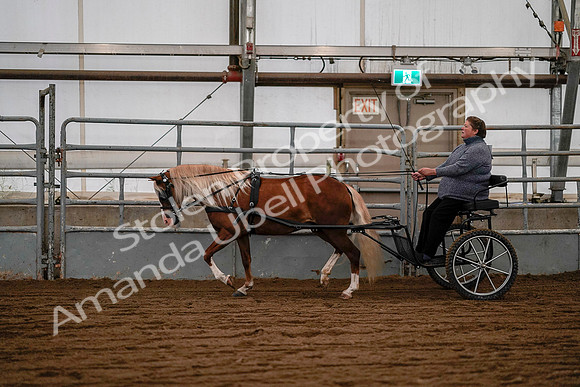 July 19, 2019 - 7079