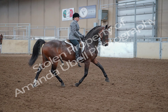 2019 Morgan Horse Show - Aug 30, 2019 - 20671