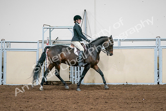 2020 - AB Morgan Horse - Sat, Sept 05 - 14577