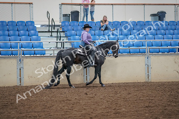 2019 Morgan Horse Show - Aug 30, 2019 - 17062