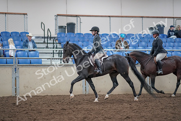 2019 Morgan Horse Show - Aug 31, 2019 - 14983