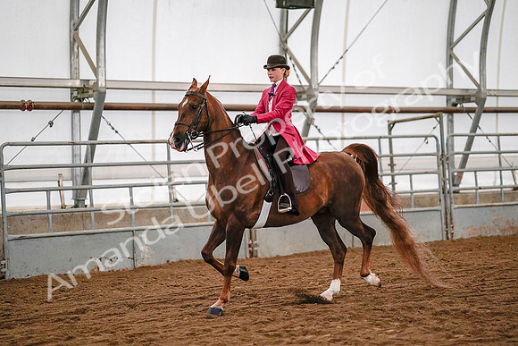 July 19, 2019 - 8928