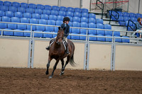 2020 - AB Morgan Horse - Sun, Sept 06 - 07680