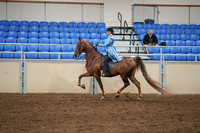 2020 - AB Morgan Horse - Sat, Sept 05 - 03323