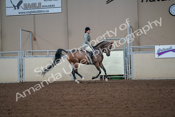 2019 Morgan Horse Show - Aug 30, 2019 - 17517