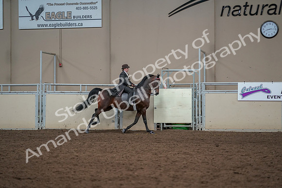 2019 Morgan Horse Show - Aug 30, 2019 - 28194