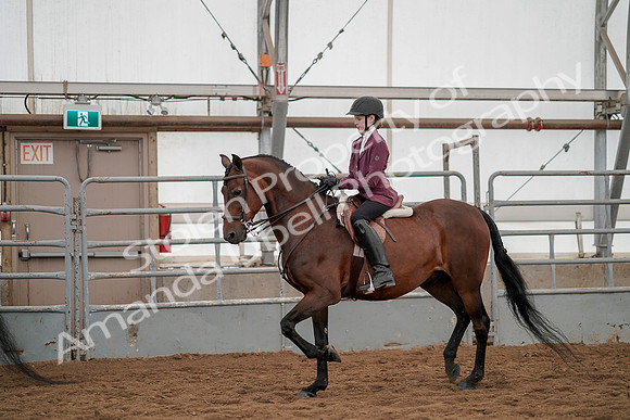 July 19, 2019 - 6242