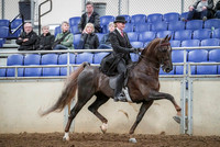 Spring Fling - Saturday - April 20, 2019  -  03625