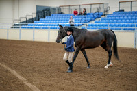 2020 - AB Morgan Horse - Fri, Sept 04 - 00878