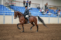 2020 - AB Morgan Horse - Sat, Sept 05 - 06872