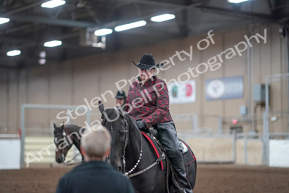 2019 Morgan Horse Show - Aug 31, 2019 - 10798