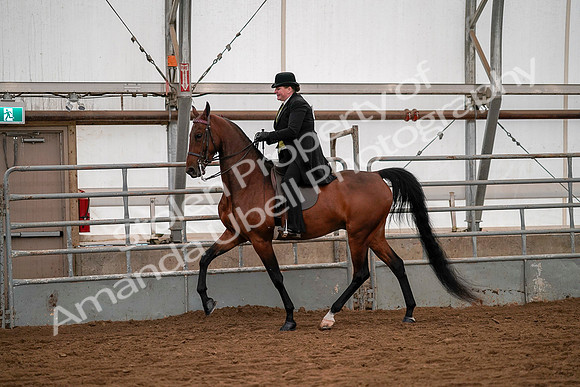 July 19, 2019 - 10277