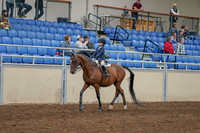 2020 - AB Morgan Horse - Sat, Sept 05 - 01741