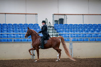 2019 Morgan Horse Show - Aug 30, 2019 - 21405