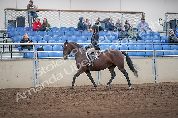 2019 Morgan Horse Show - Aug 31, 2019 - 19421