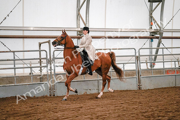 July 19, 2019 - 9010
