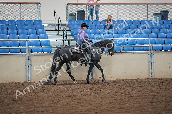 2019 Morgan Horse Show - Aug 30, 2019 - 17058