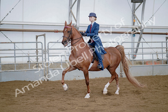 July 21, 2019 - 04658